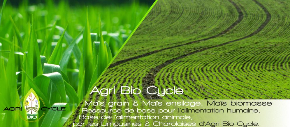 Agri Bio cycle et culture du maîs en normandie