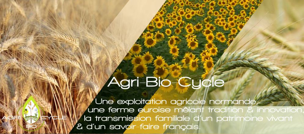 Agri Bio cycle propose des cultures céréalières à etreville