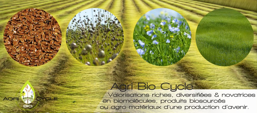 Agri Bio cycle cultive le lin en Normandie