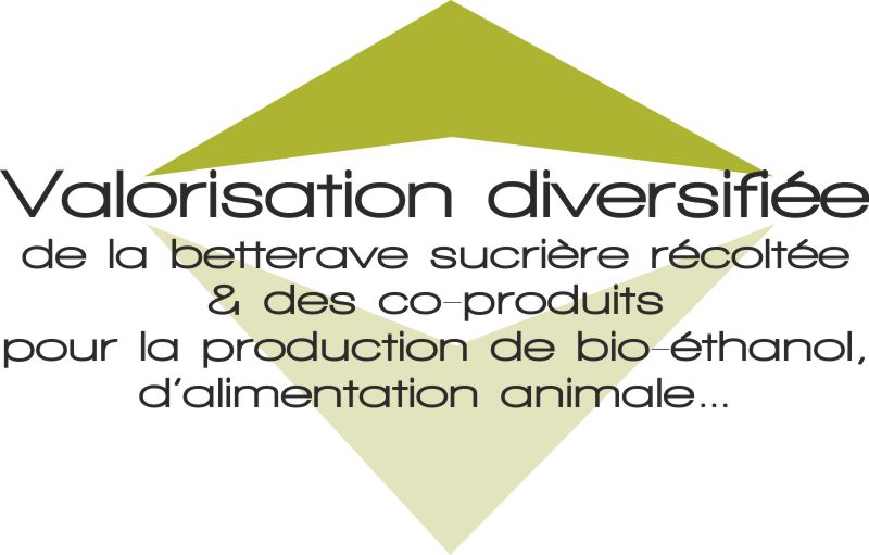 Valorisation diversifiée de la betterave sucrière récoltée et des co-produits pour la production de bio-éthanol...
