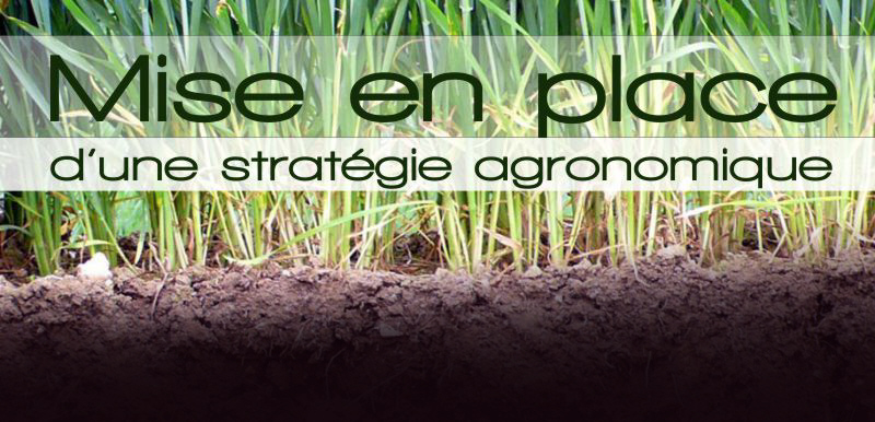 mise en place d'une stratégie agronomique avec agri bio cycle.