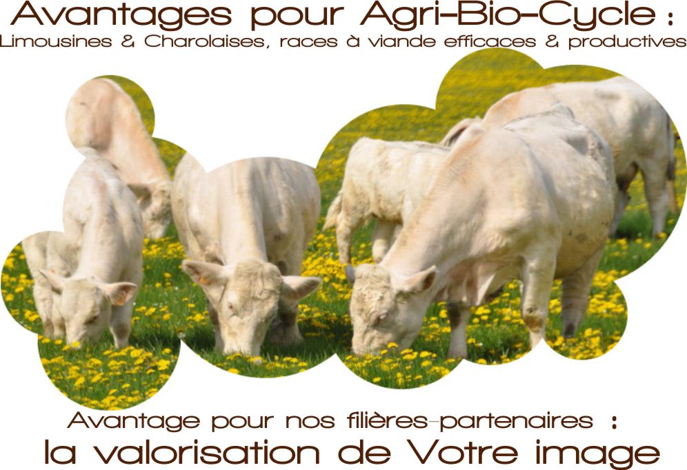 Avantage de nos filières partenaires avec Agri bio cycle
