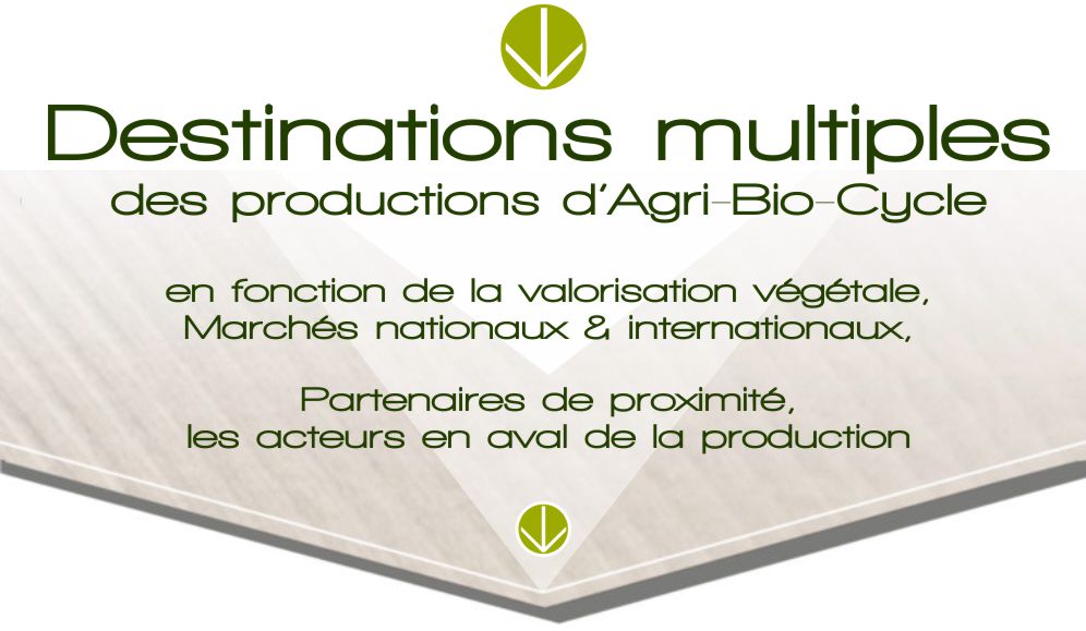 Destinations multiples des productions d'agri bio cycle.