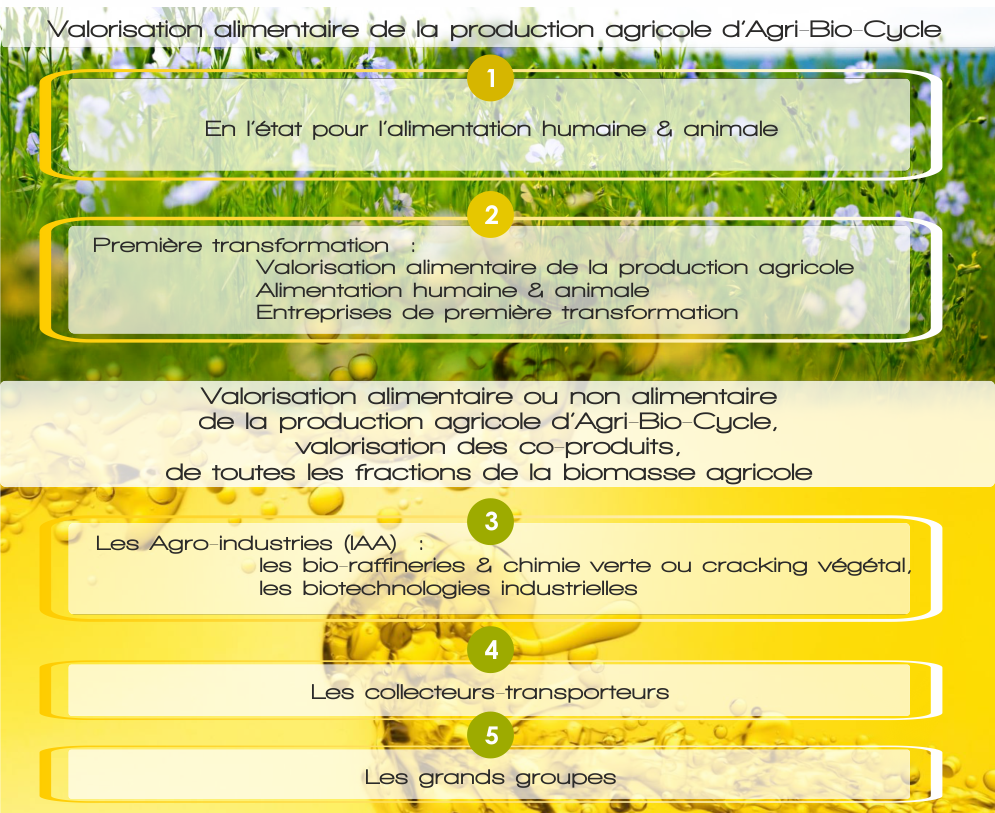valorisation alimentaire de la production agricole d'agri bio cycle à Etreville